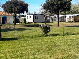 Grass pitches