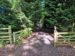 Path to shepards.hut