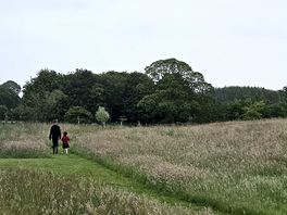 Pathways between pitches