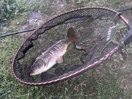 Smallest of the catches.