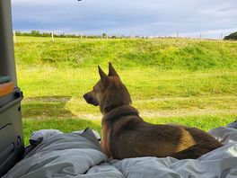 My view in the morning