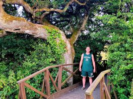 Interesting tree