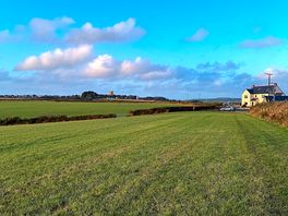 Beautiful fields