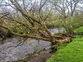 By the river