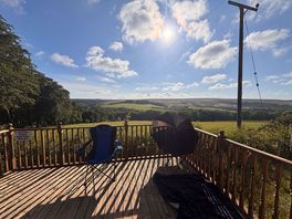 Nice sunny day with some doggy shade