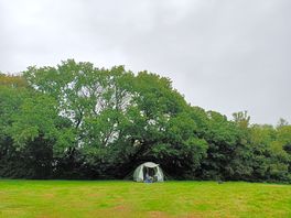 Our pitch