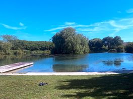 The lake