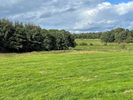 View down the paddock