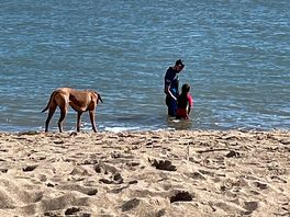 Lovely beach