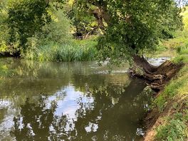 Swimming spot