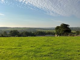 View from our pitch