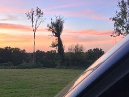 Sunnyside lives up to its name with this stunning sunset.