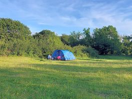 Large sheltered pitches