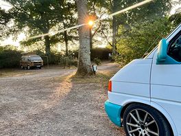 Lovely waking up with the sun shining through the trees