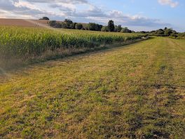 Walk from campsite