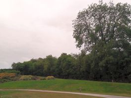 The view from the picnic area.
