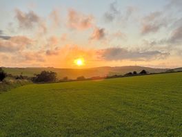Spectacular sunset