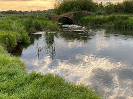 The river frome.