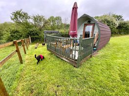 View of the pod