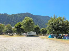 Only camp domelin