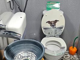 One of the funky toilets - all had different funky basins, toilet seats, walls etc