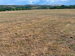 Top field