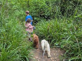 Doggy friendly too. they have a dog exercise area in the field.