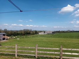 A view from the decking.
