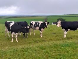 Our neighbours