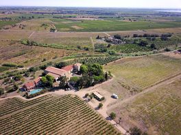 Aerial view of the domain