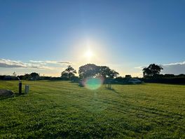 Evening sunset