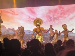 1 des spactacle: le roi lion