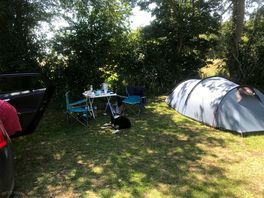 Our pitch. we were very pleased with the shade in hot weather