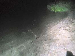Lake in the dark 30secs walk from our tent