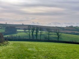 View from nearby cannamore camping