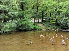River drone view