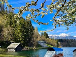 Vista del lago di bled dall’ingresso del campeggio