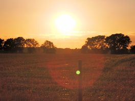 Sunset over the field
