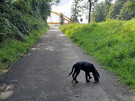 Ohne verkehr mit netten leuten zusammen treffen