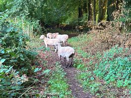 Our neighbours
