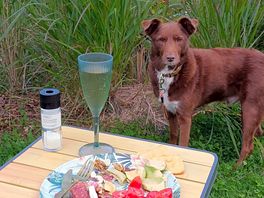 Apero