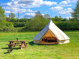 Hedgehog bell tent