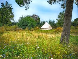 Pitches in a natural landscape