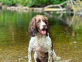 Enjoying upper falls