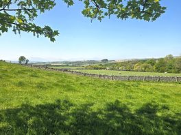 Surrounding views