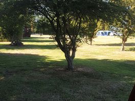Pretty site