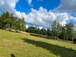 Another sunny day ❤️