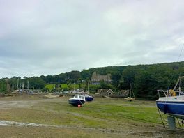The harbour