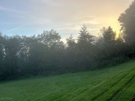 Camping view