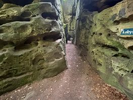 Labyrinthe dans la forêt